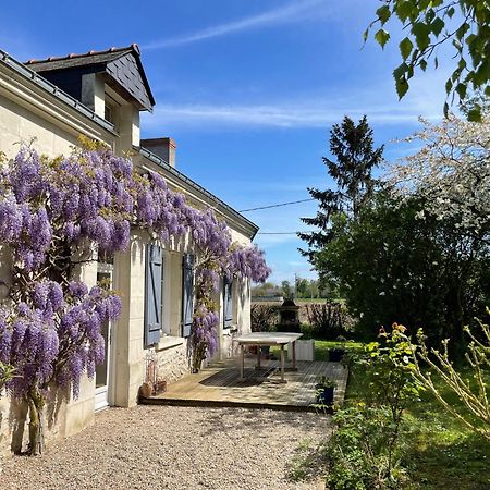 Chambres D Hotes Avec Piscine Et Spa La Foliere Saumur Villebernier Екстериор снимка