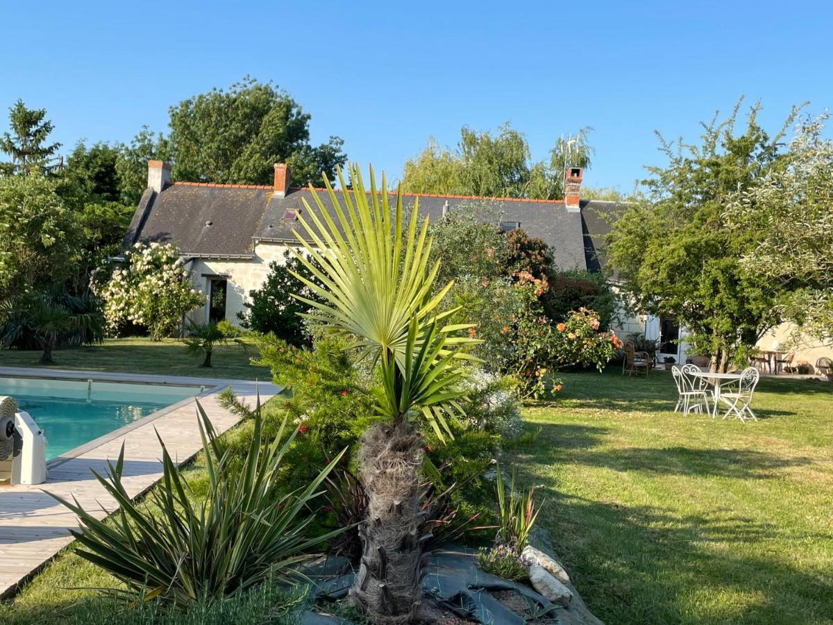 Chambres D Hotes Avec Piscine Et Spa La Foliere Saumur Villebernier Екстериор снимка